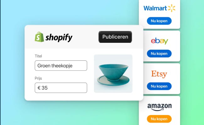 Shopify Multi-channel selling