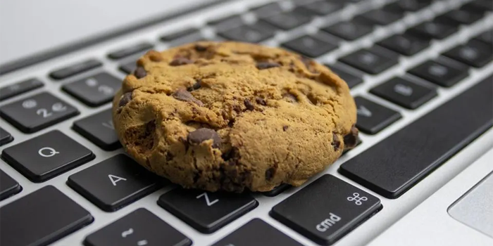 Cookie on a Computer